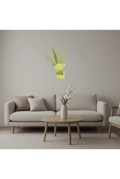 Akman Aloe Vera Bitkisi Dekoratif Altın Aynalı Tablo 9,9 cm x 15,8 cm - ACL6206493-1687 ürün görseli 1