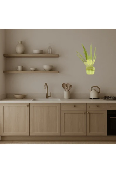 Akman Aloe Vera Bitkisi Dekoratif Altın Aynalı Tablo 29,8 cm x 47,3 cm - ACL6206493-1687 - Resim 3