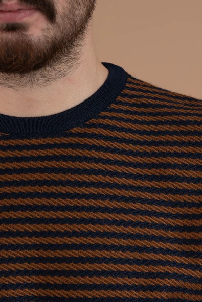 SAN&FA TRİKO SIFIR YAKA REGULAR FİT DESENLİ ERKEK TRİKO KAZAK - 9