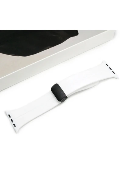 Akman Ally Apple Watch 7-8 41mm 6-5-4 40mm Manyetik Uçlu Silikon Kayış Kordon 3-2-1 - ACL6208682-5905