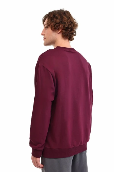 LUMBERJACK SN75C NECK ERKEK SWEATSHIRT 5PR - 3