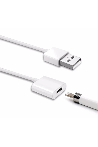 Akman Ally Apple Pencil/kalem İçin Usb Şarj Kablosu 1 metre-(1903) - ACL6207416-8755 ürün görseli 1