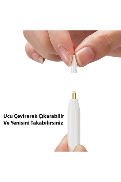 Akman Dux Ducis Apple Pencil İçin Yedek Uç 2 Adet-(1903) - ACL6209808-2622 - Resim 5