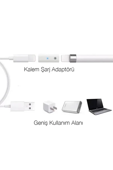 Akman Ally Dişi Lightning to Lightning Dönüştürücü Apple Pencil Kalem Şarj Ada - ACL6206455-3395 - Resim 2