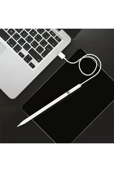 Akman Ally Dişi Lightning to Lightning Dönüştürücü Apple Pencil Kalem Şarj Ada - ACL6206455-3395 - Resim 5