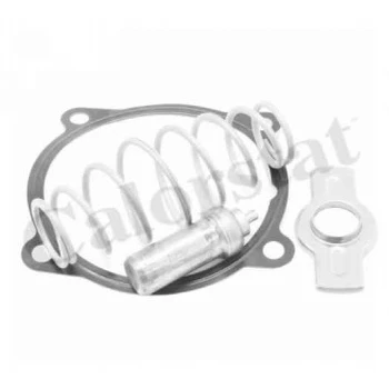 İveco Truck Termostat 79 C° İveco Stralıs Trakker Eurostar Eurotech / Ford Cargo 1846 - Vernet Th7313.79j - Resim 2