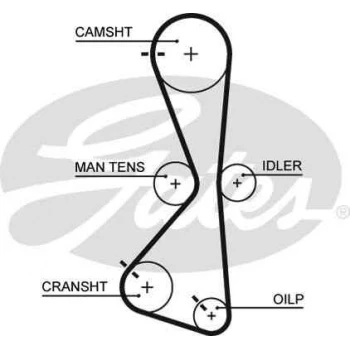 Mitsubıshı Triger Kayısı (122x200) Mitsubıshı Galant Grandıs Outlander 2.4 16v 03-> - Gates 5609xs ürün görseli
