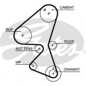 Psa Triger Kayısı (137x254) Peugeot Partner Tepe 206 207 307 308 407 1.6hdi Ber C2 C3 C4 C5 Jumpy Ct1092 - Gates 5598xs ürün görseli