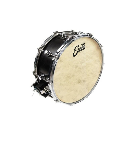 EVANS TT18C7 DERİ 18 CALFTONE TOM SENTETİK TEK KAT (12 MİL) ürün görseli