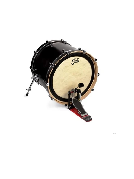 EVANS BD18EMADCT EVANS BD18EMADCT 18" DERİ CALFTONE KİCK SENTETİK SÜNGERLİ TEK KAT ürün görseli