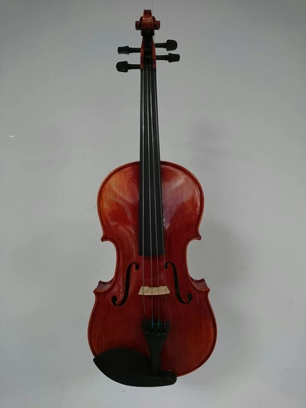 KINGLOS KNG PHB-1004VA 15.5" VİOLA KUTULU - Resim 2