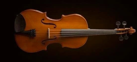 VALENCIA VA16038 VİOLA KUTULU 15"(38cm) ürün görseli