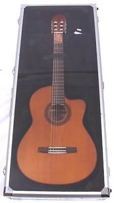 VALENCIA DSC420 AKUSTİK GİTAR TEŞHİR ÇANTASI (DREADNOUGHT SHOW CAS ürün görseli