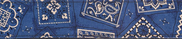 PLANETWAVES 50G03 PLANETWAVES 50G03 GİTAR ASKISI, 50MM, MAVİ BANDANA ürün görseli