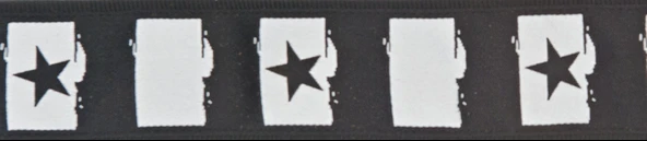 PLANETWAVES 50C01 PLANETWAVES 50C01 GİTAR ASKISI, DOKUMA, YILDIZ-SİYAH BEYAZ ROCK STAR ürün görseli