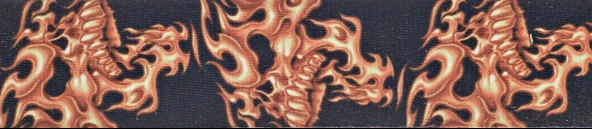 PLANETWAVES 50LT01 PLANETWAVES 50LT01 GİTAR ASKISI, 50MM, DOKUMA FLAMING SKULLS ürün görseli