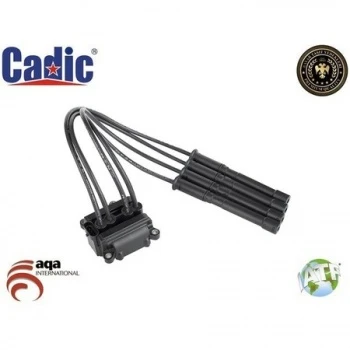 Renault Atesleme Bobını Logan I II Sandero I II Clio II III IV Kangoo Modus Symbol II Modus Twingo II 1,2 16 - Cadıc 45004911 ürün görseli 1