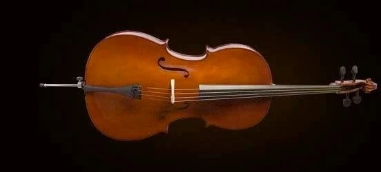 VALENCIA CE160F44 VALENCIA CE160F44 CELLO, FRENCH STYLE, 4/4 ürün görseli