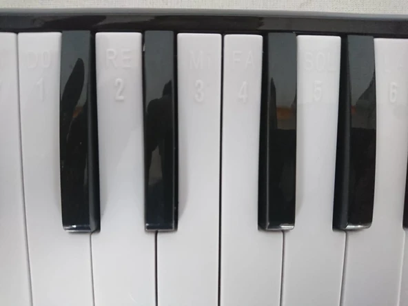 CREMONIA CR32BL-12 MELODİKA 32 TUŞLU MAVİ RENK 12 Lİ PAKET EVA ÇANTA - 2