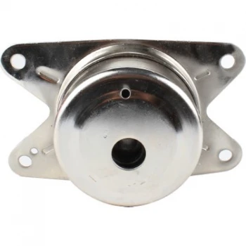 Opel Motor Takozu On Yuvarlak Astra G Zafıra 1,2 16v 1,4 16v 1,6 - Delphi Tem093 ürün görseli 1