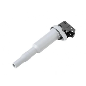 Bmw Atesleme Bobını Bmw E81 E87 E82 E88 F20 F21 F22 F23 E46 E90 F30 F32 E60 F10 N13 N20 N55 P3008-P308-R - Bosch 0221504800 ürün görseli 1