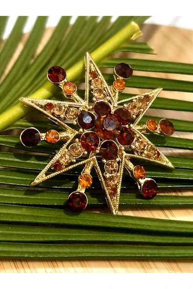 Monalisa Home Deniz Yıldızı  Figürlü Broş ürün görseli 1