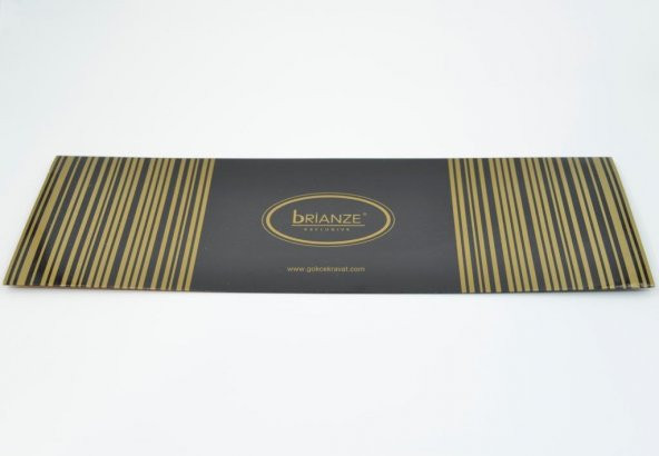 Brianze Siyah Çizgili Kravat Mendil Set - 4