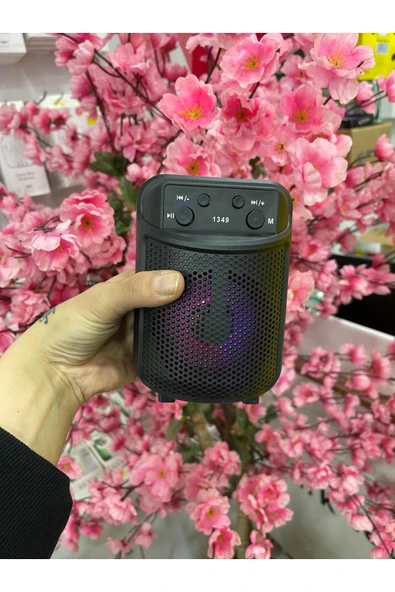 inteknoloji Işıklı Bluetoothlu Extra Basslı Ses Bombası sd/usb/bt - Resim 3