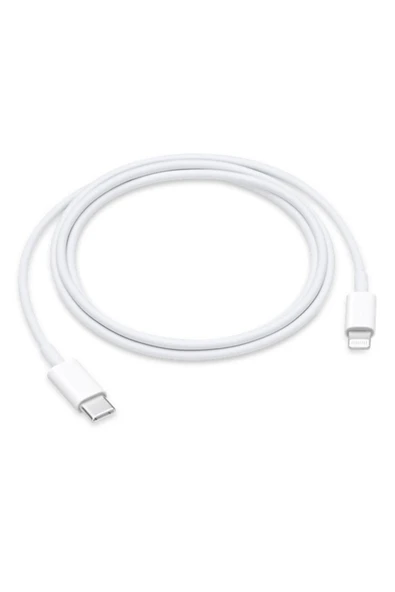 Day Iphone 13 Pro Max Uyumlu Usb-c Lightning Kablosu (1M) - 2