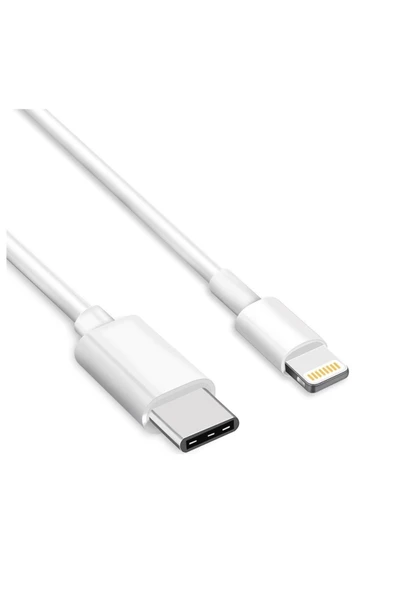 inteknoloji Iphone 11 / 12 / 13 / 14 Usb-c Lightning Şarj Kablosu 1m - Resim 4