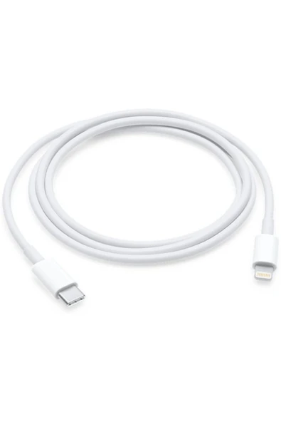 Orjinal Techson Usb-c Uyumlu Lightning Kablosu Iphone 14 13 12 11 Ve Eski Modeller 1m ürün görseli 1
