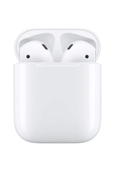 inteknoloji Earpods 2 Kılıf Hediyeli  2. Nesil Beyaz Bluetooth Kulaklık - 1