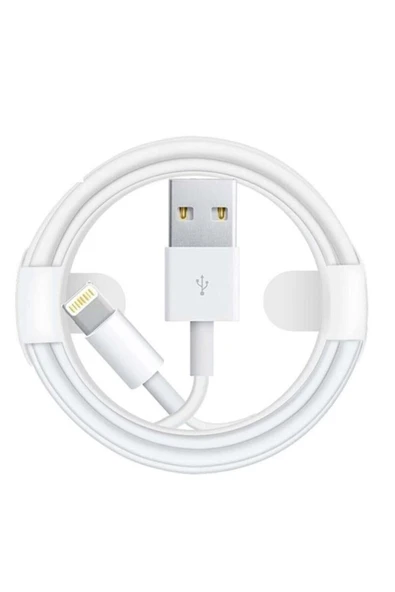 inteknoloji Iphone  Uyumlu 1 Mt.şarj Kablosu Kutulu ürün görseli 1