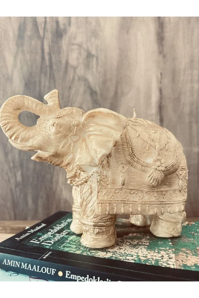 Fil Mum Gold/beyaz - 2