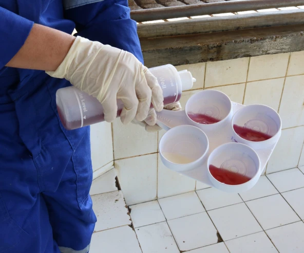Mastitis Test Diski Beyaz Ekonomik - 2