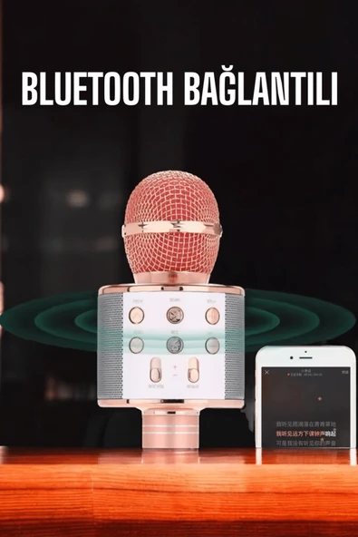 Kablosuz Bluetooth Karaoke Mikrofon USB ve AUX Girişli, Yüksek Ses Kalitesi - 5