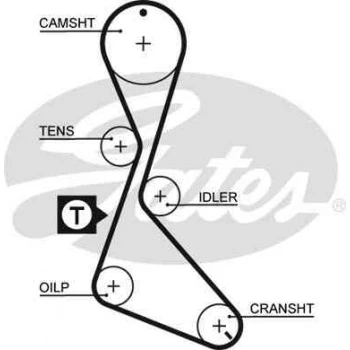 Renault Eksantrık Kayısı (125x190) Flash Mngr R11 Megane 1,7 (gd125h9 5p190) Ct684 - Gates 5130xs ürün görseli