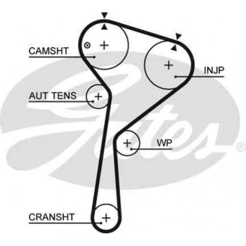 Renault Eksantrık Kayısı (123x270) 123 Dis Clio Kangoo Megane II 1,5 DCI 01=> Ct1035 - Gates 5578xs