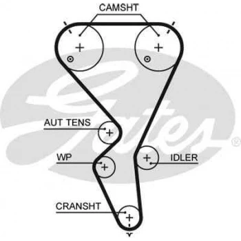 Psa Eksantrık Kayısı (135x254) 135 Dis P206 P307 03=> C3 Ct1101 - Gates 5615xs ürün görseli