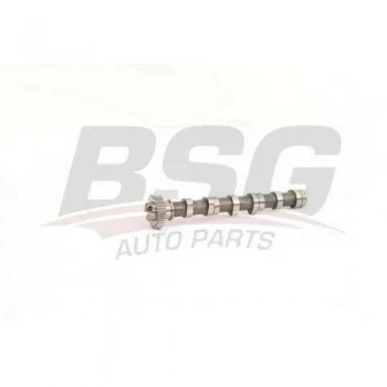 Vag Eksantrık MILI Emme 1,2tdi Cfwa Polo 10> İbiza 09>15 Fabıa 11>15 Roomster 11>15 - Gemsaft Vwtnp11 ürün görseli