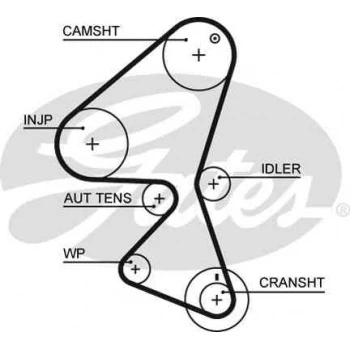 Psa Eksantrık Kayısı (144x254) P206 307 Bipper 1,4hdi 01=> C1 C2 C3 Xsara Nemo 1,4hdi Fiesta Ct1063 - Gates 5587xs ürün görseli