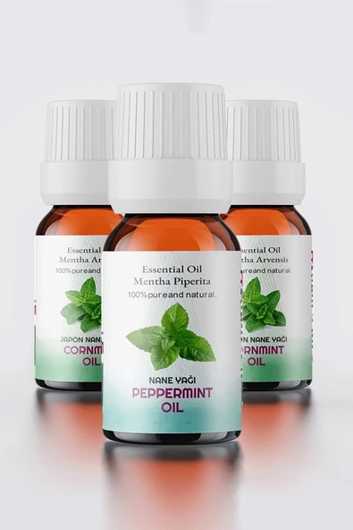 PROCLİS Nane Yağı, %100 Doğal Uçucu Yağ, Peppermint Oil, 3'lü Set 3x10 ml