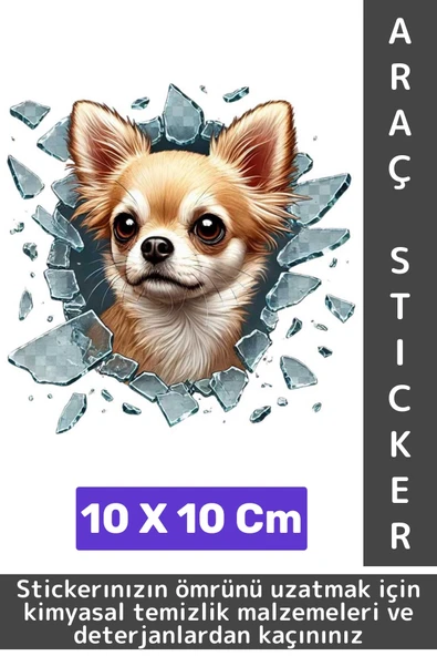 Özel Tasarım Araç Dış Modifiye Eğlenceli Yaratıcı Şık 3D Evcil Hayvan Kedi Köpek Sticker 10 X 10 Cm - 1