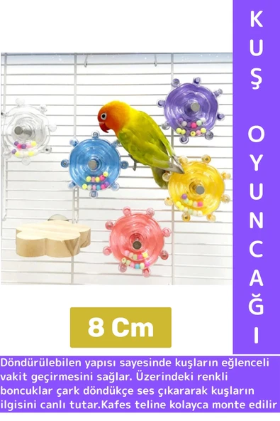 Kolay Montaj Papağan Muhabbet Kuşu Eğlenceli Zihinsel Gelişim Kuş Kafesi Çıngıraklı Çark Oyuncağı ürün görseli
