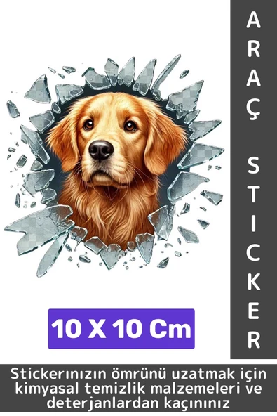 Özel Tasarım Araç Dış Modifiye Eğlenceli Yaratıcı Şık 3D Evcil Hayvan Kedi Köpek Sticker 10 X 10 Cm ürün görseli