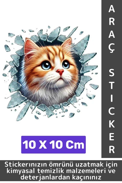 Özel Tasarım Araç Dış Modifiye Eğlenceli Yaratıcı Şık 3D Evcil Hayvan Kedi Köpek Sticker 10 X 10 Cm - 1