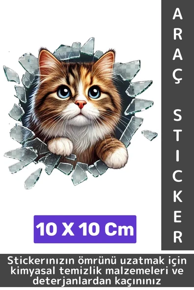 Özel Tasarım Araç Dış Modifiye Eğlenceli Yaratıcı Şık 3D Evcil Hayvan Kedi Köpek Sticker 10 X 10 Cm - 1