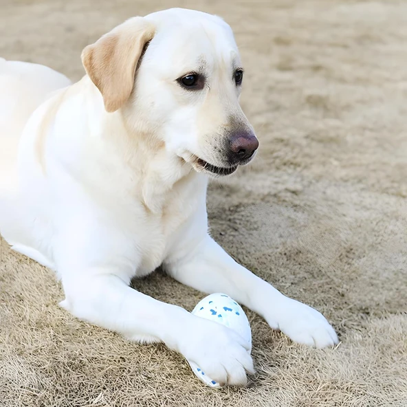 M-Pets Bloom Rugby Oyun Topu Parçalanmaz Beyaz Mavi - 4