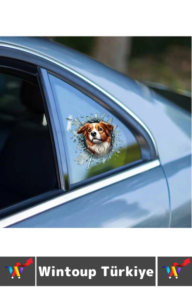 Özel Tasarım Araç Dış Modifiye Eğlenceli Yaratıcı Şık 3D Evcil Hayvan Kedi Köpek Sticker 10 X 10 Cm - 2