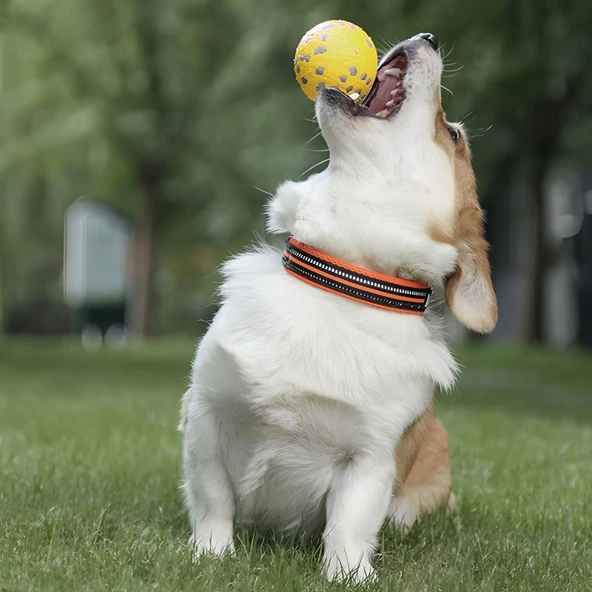 M-Pets Bloom Ball Oyun Topu Parçalanmaz Sarı Gri - 3